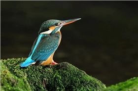 640.webp (1).jpg 640.webp (1).jpg